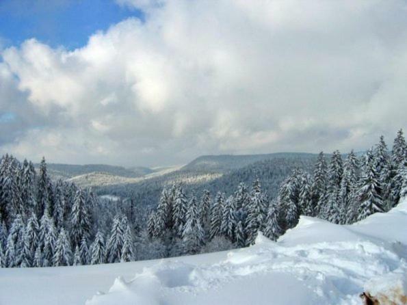 Appartamento Les Chenes Rouges Gérardmer Esterno foto